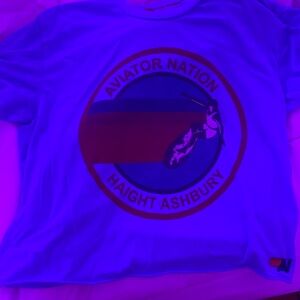 aviator nation boyfriend tee- sky